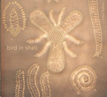 Bird In Shell : 